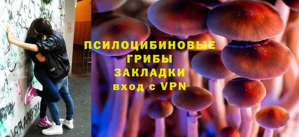 а пвп мука Белокуриха
