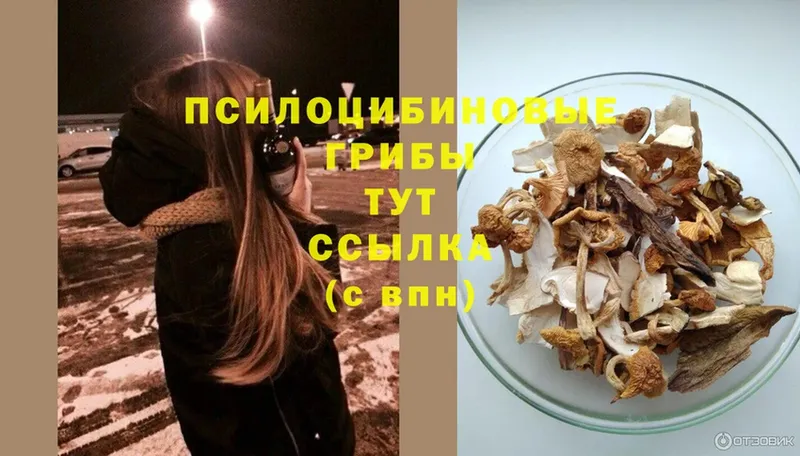 дарнет шоп  Вуктыл  Галлюциногенные грибы Magic Shrooms 