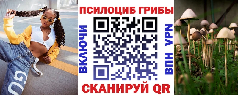 где купить Вуктыл Галлюциногенные грибы Cubensis