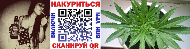 Конопля MAZAR Вуктыл